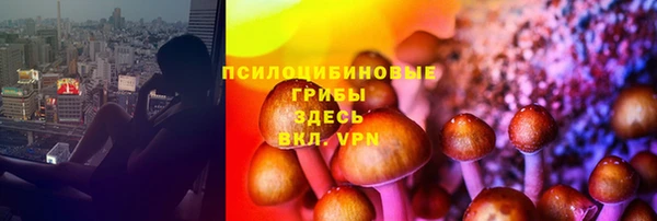 а пвп мука Горняк