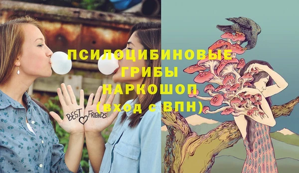 ALPHA PVP Дмитриев