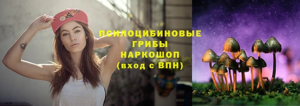 а пвп мука Горняк