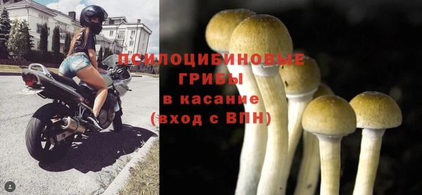 а пвп мука Горняк