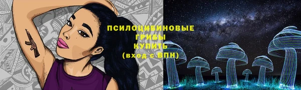 а пвп мука Горняк