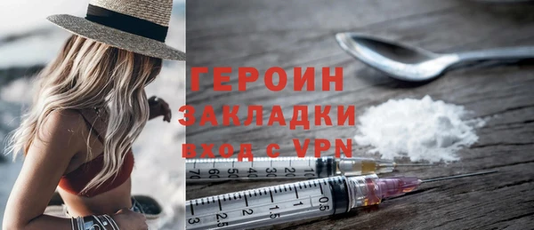 гидра Вязьма